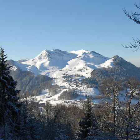 Hotel Les Skieurs Bellevaux Eksteriør bilde