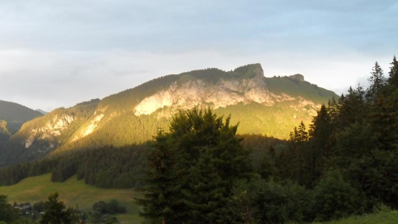 Hotel Les Skieurs Bellevaux Eksteriør bilde